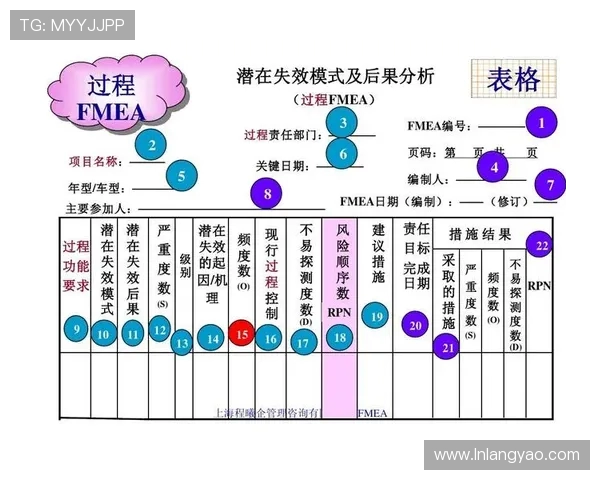 德甲球队的运营结构与管理模式分析